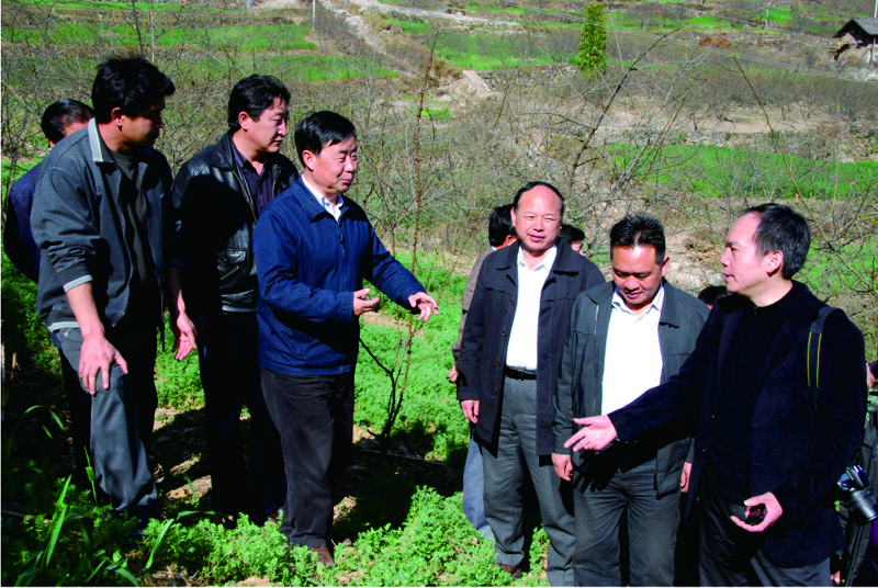 2011年原四川省林业厅厅长调研金阳青花椒产业